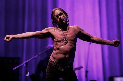 ¡El Concierto Infinito de Iggy Pop: Un Viaje Sonoro a Través del Tiempo y la Locura!